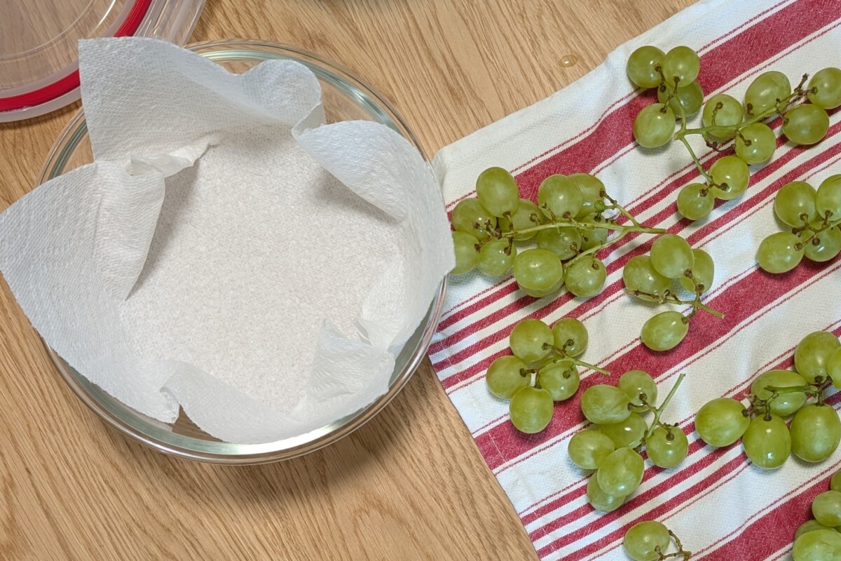 Paper towel lined bowl next to washed grapes.