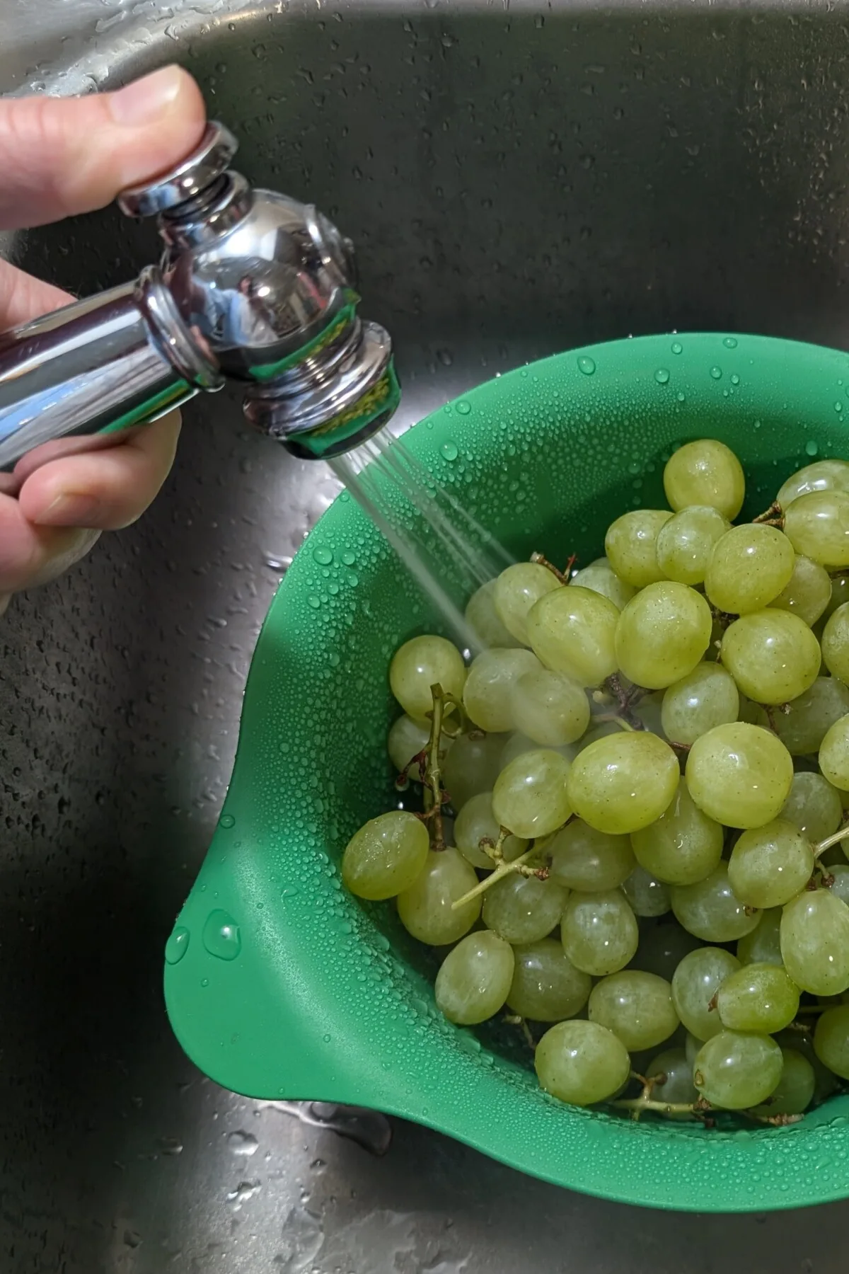 Hand using a hand sprayers to rinse off grapes in a colander. 