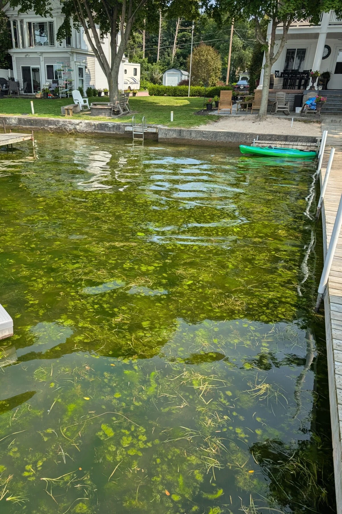 lake full of algae