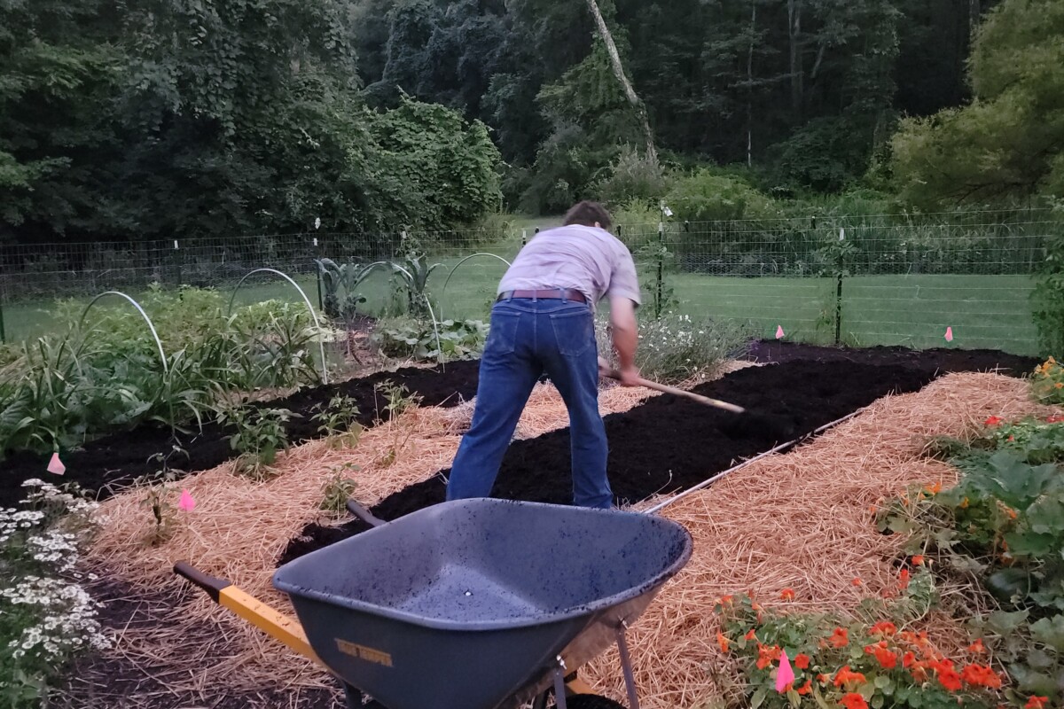 man putting compost in garden