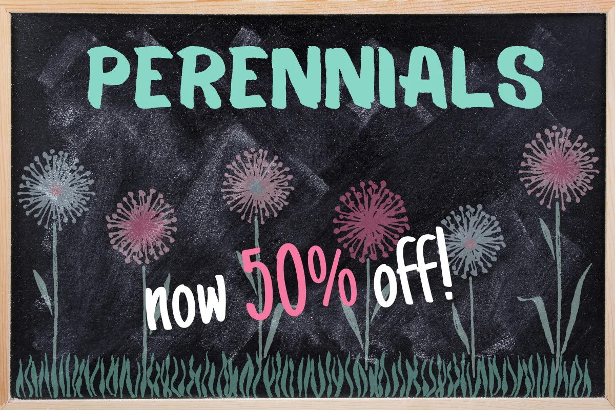 Chalkboard sign "Perennials now 50% off!"