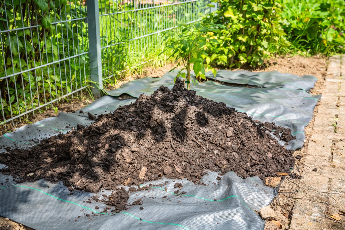 Wood mulch with landscape cloth beneath it