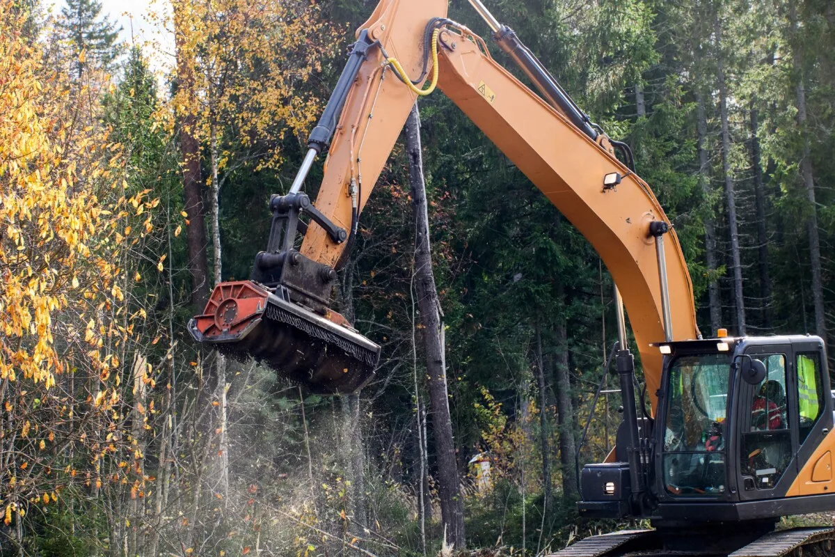 Tree mulcher