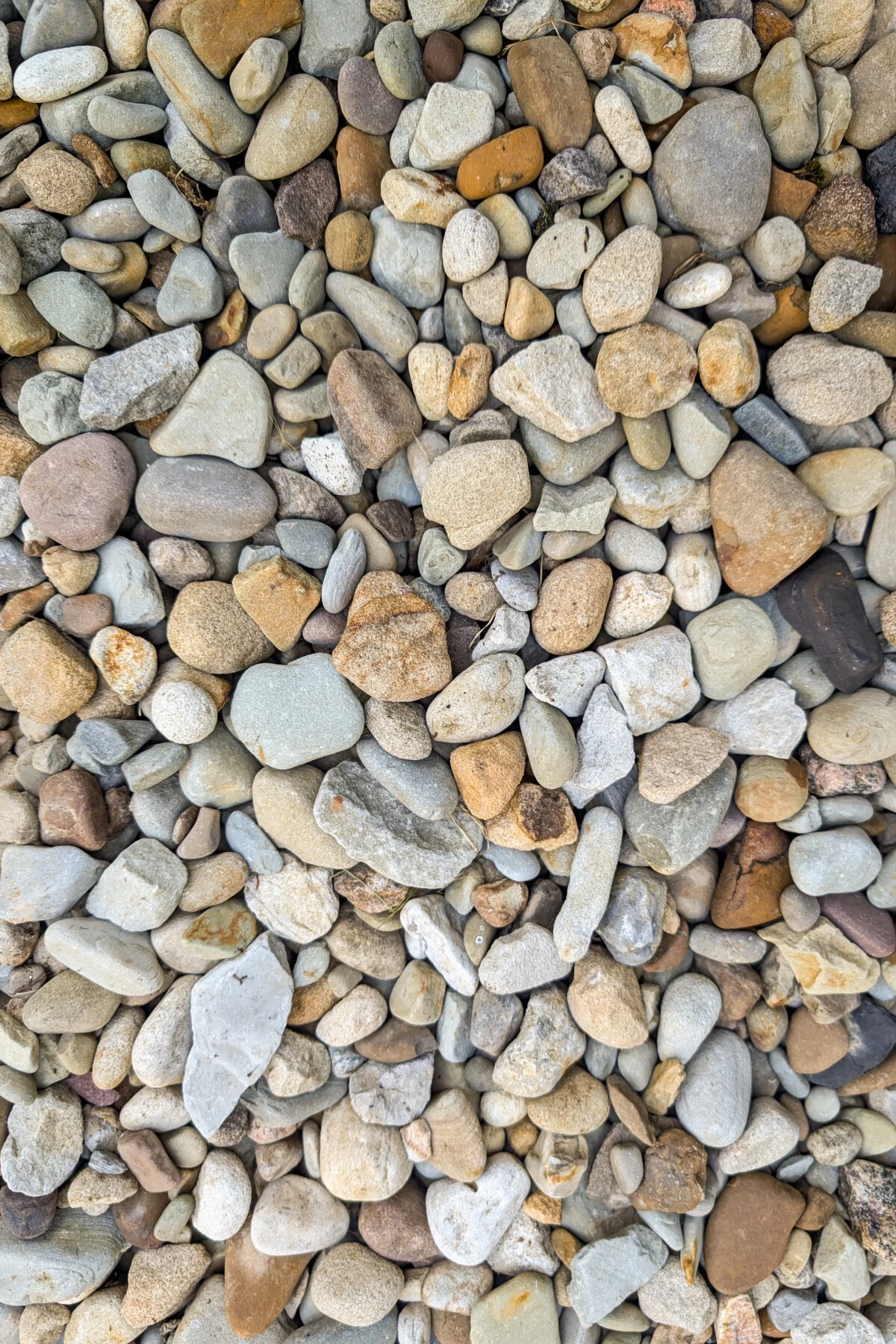 Colorful pebbles