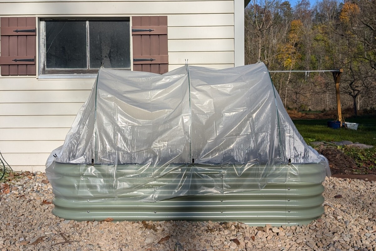 Raised bed with polytunnel