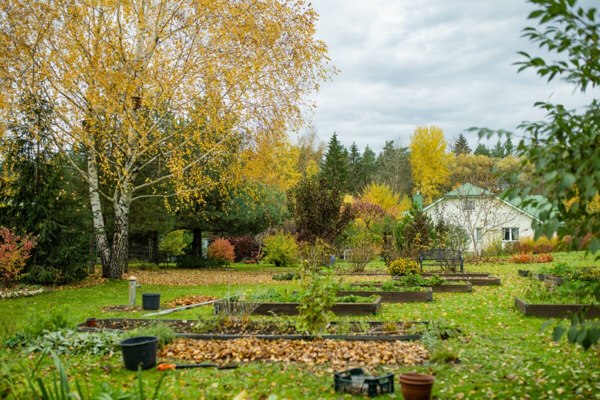 Fall garden, leaves and dying plants