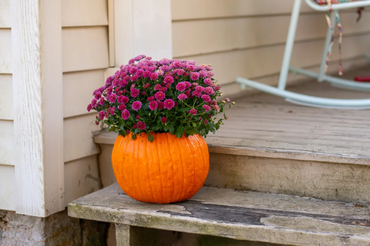 Mum and pumpkin planter.