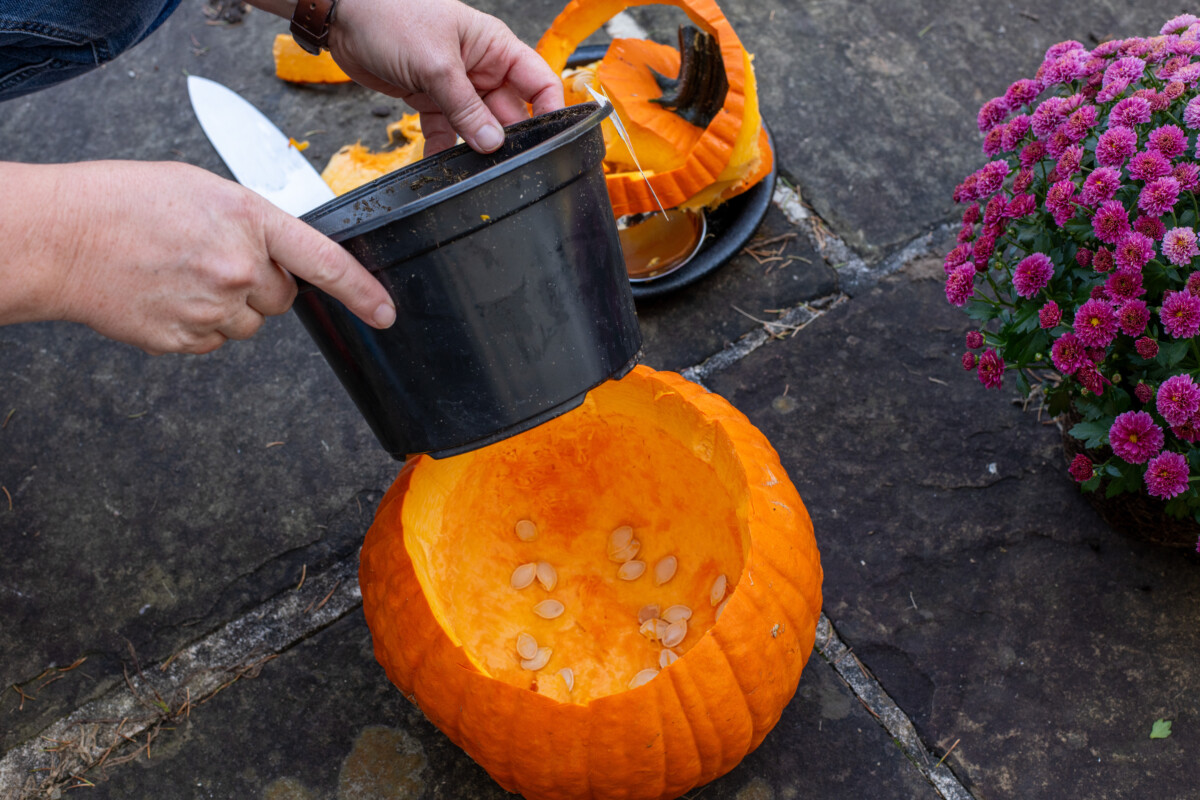 Woman's hands placing an empty nursery pot inside a carved out pumpkin.