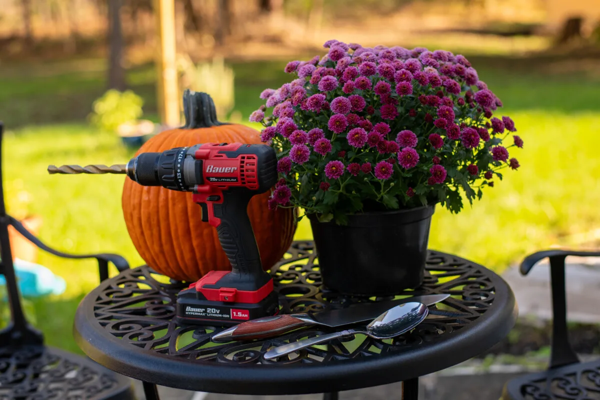 Tools needed to create a mum and pumpkin planter.