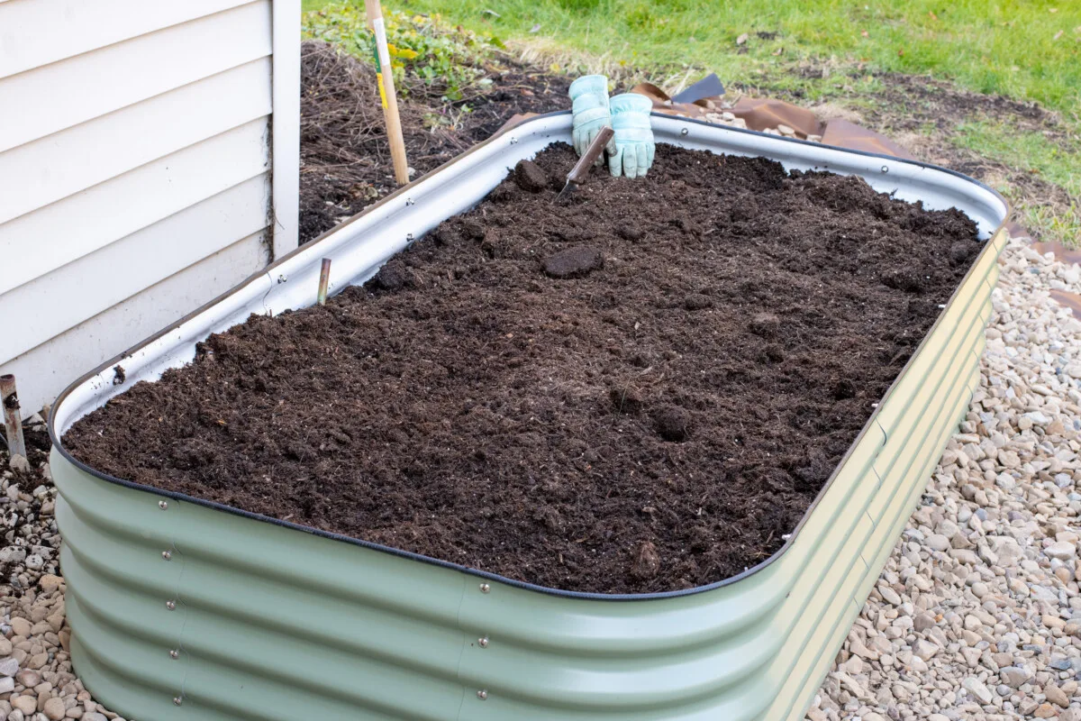 Completed Vego Garden raised bed