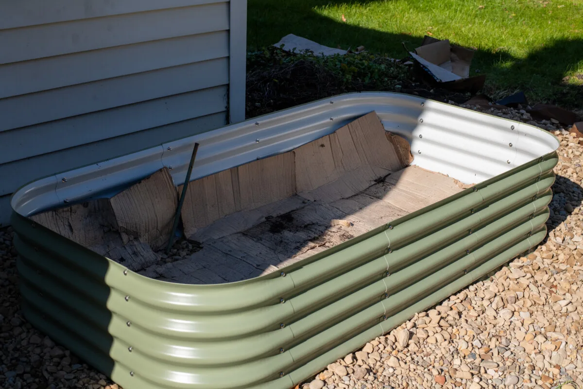 Cardboard in the bottom of a raised bed