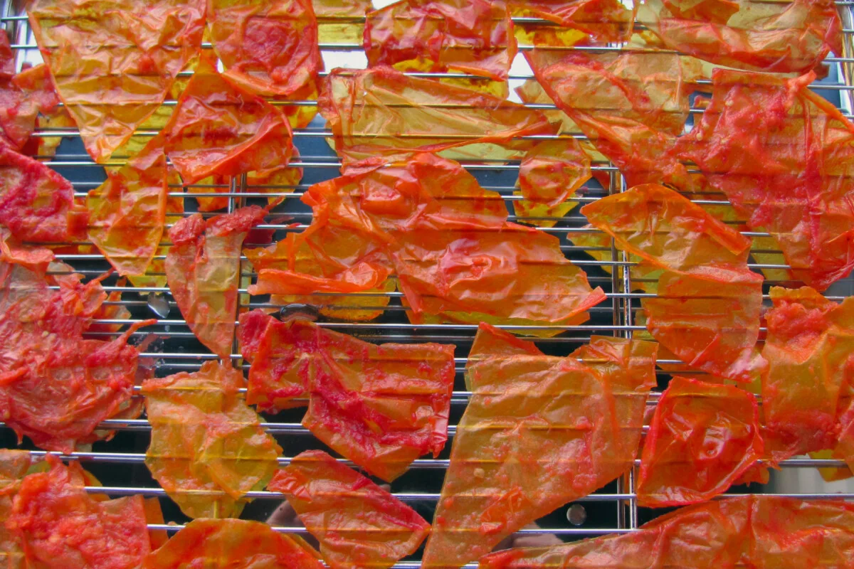 Tomato skins on a cooking rack