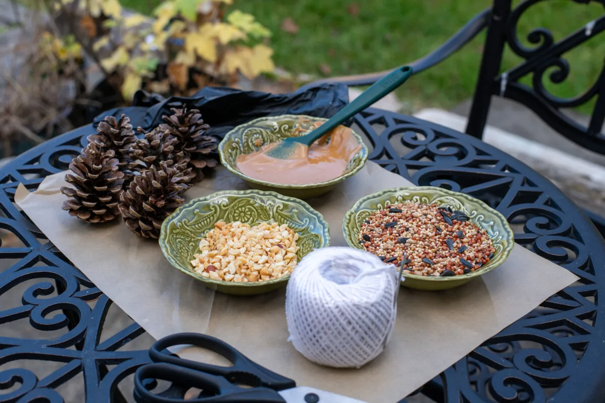 Supplies to make pine cone bird feeders