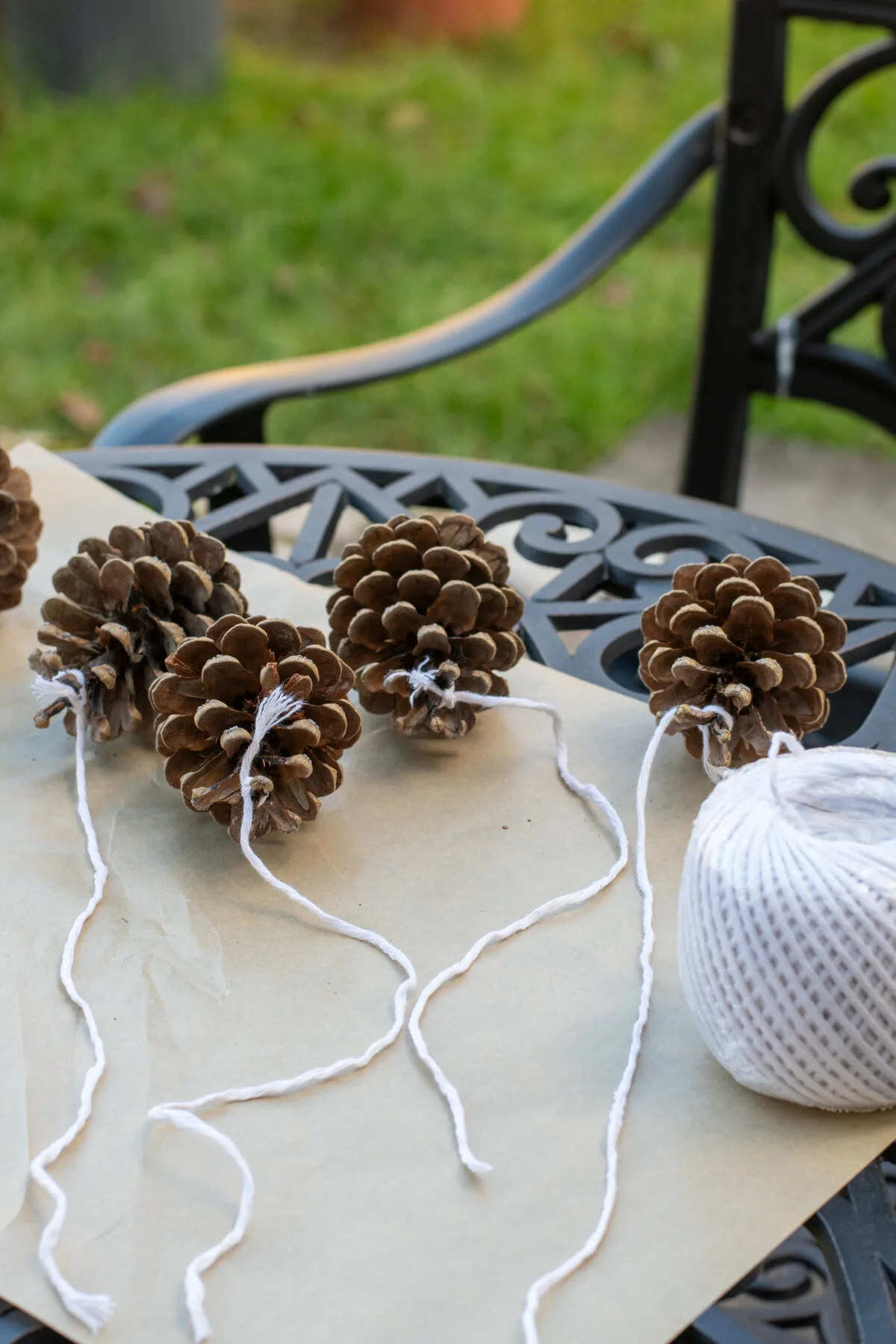 Pine cones with string tied to the tops