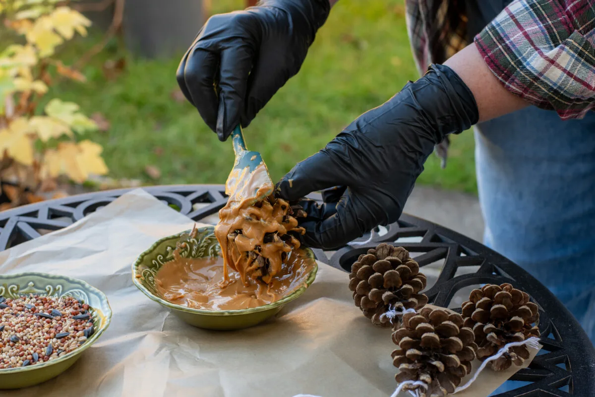 Woman's hand putting peanut butter on a pine cone