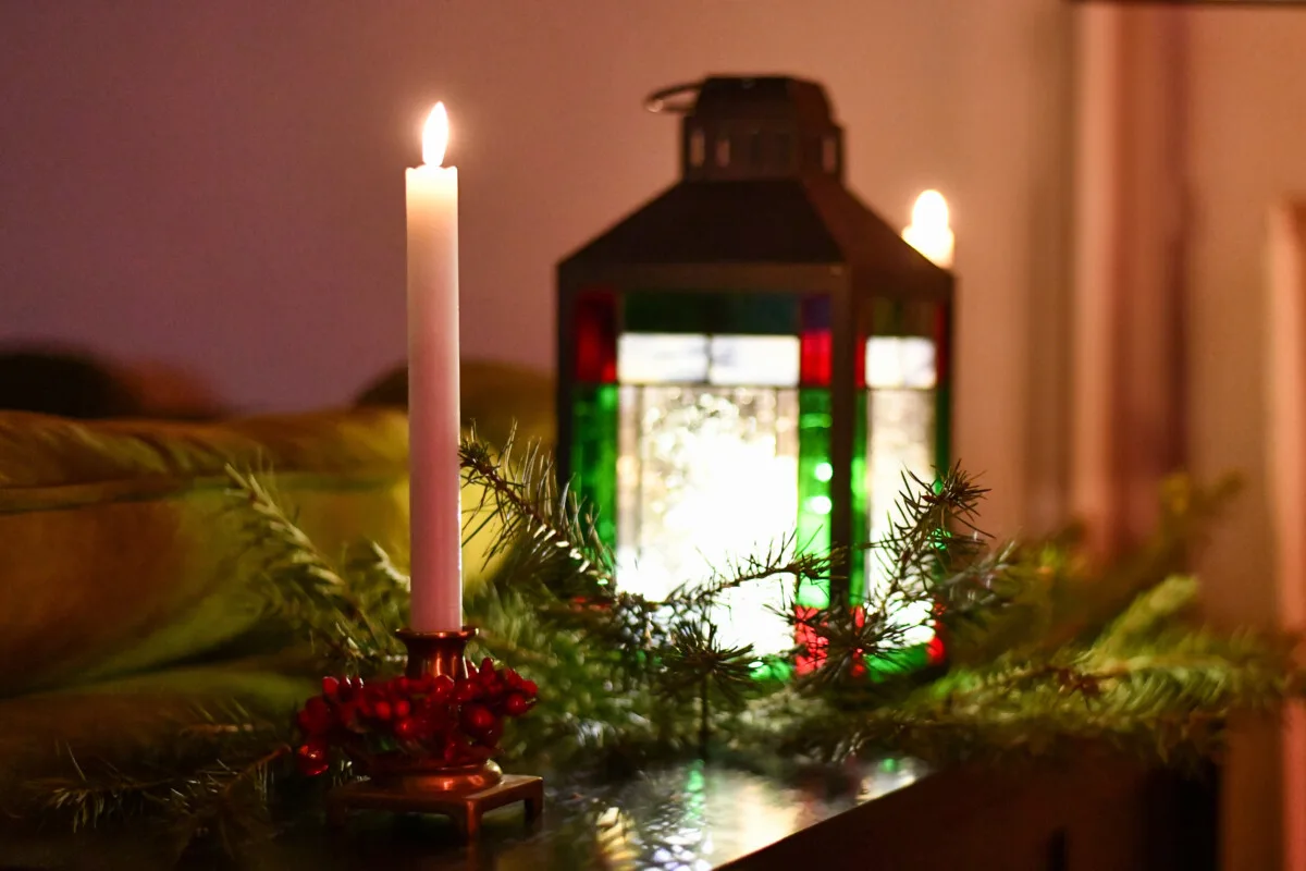 Evergreens around a Christmas lantern