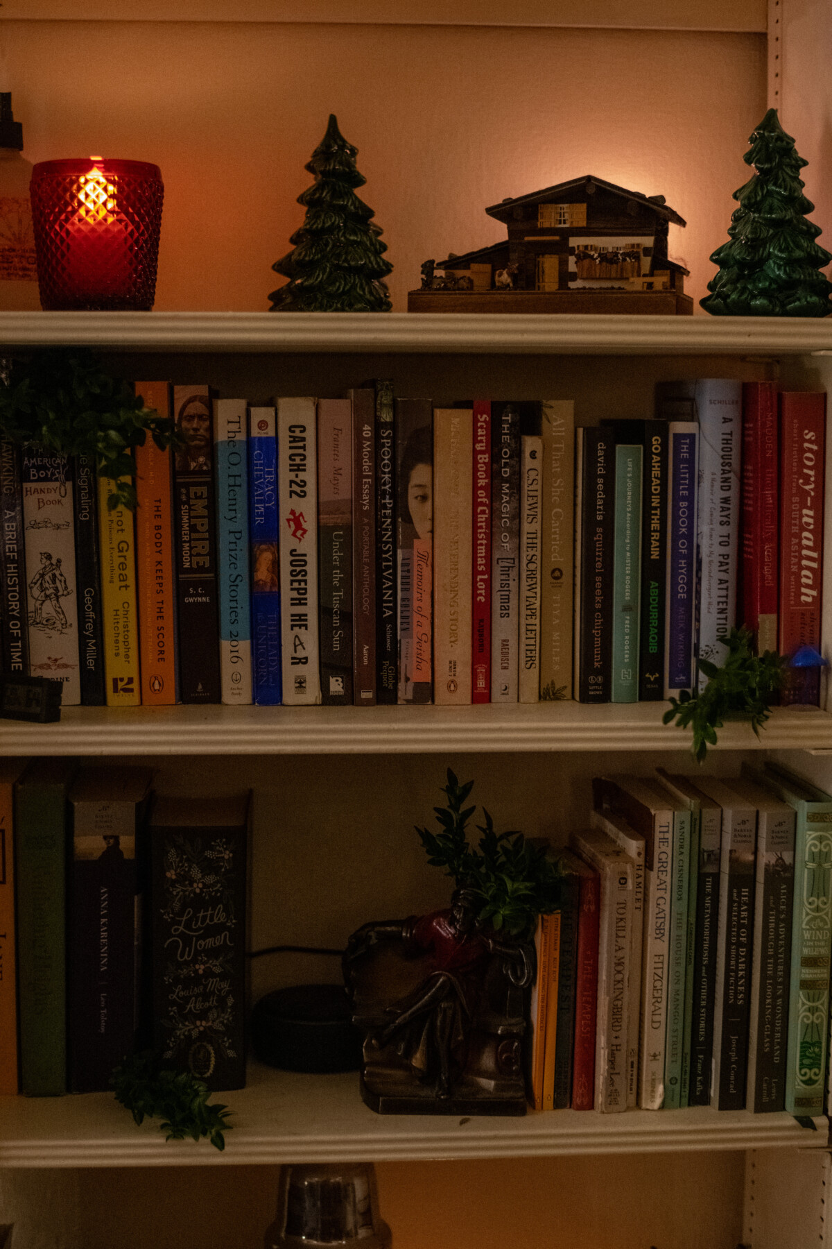 Bookshelf with sprigs of greenery