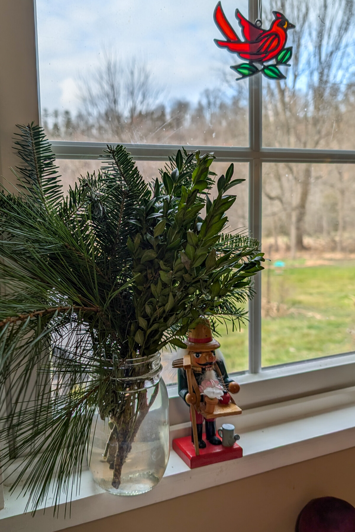 Jar of evergreens on a windowsill