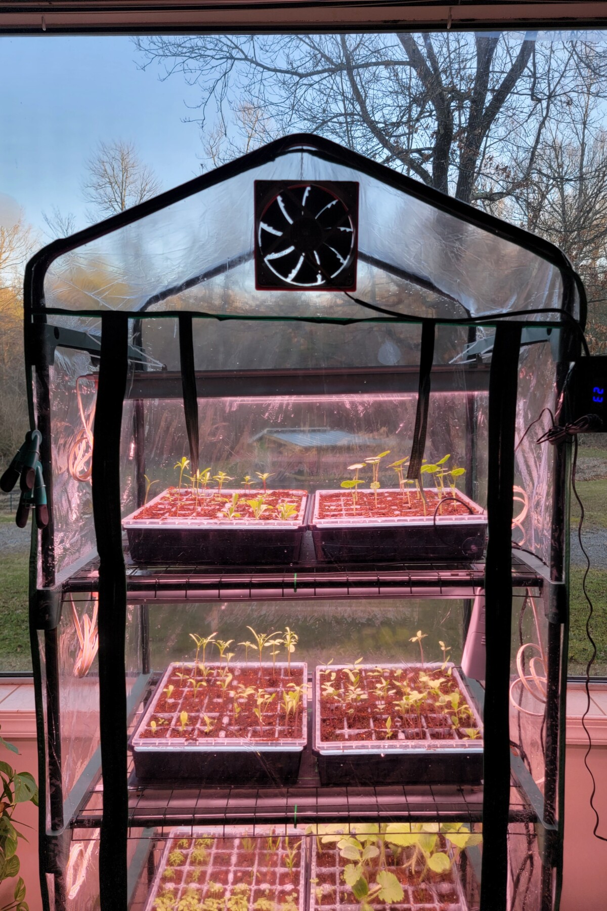 Mini greenhouse with fan