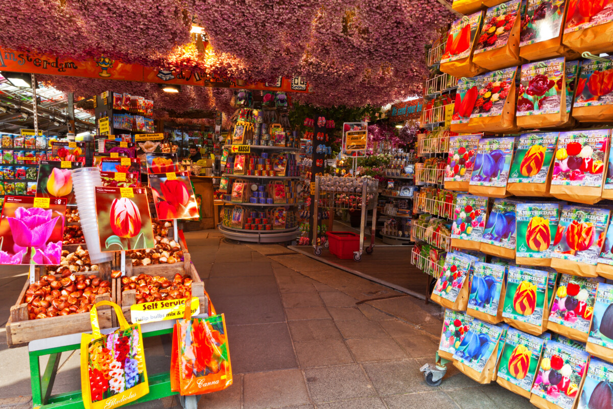 Bulb store in Amsterdam