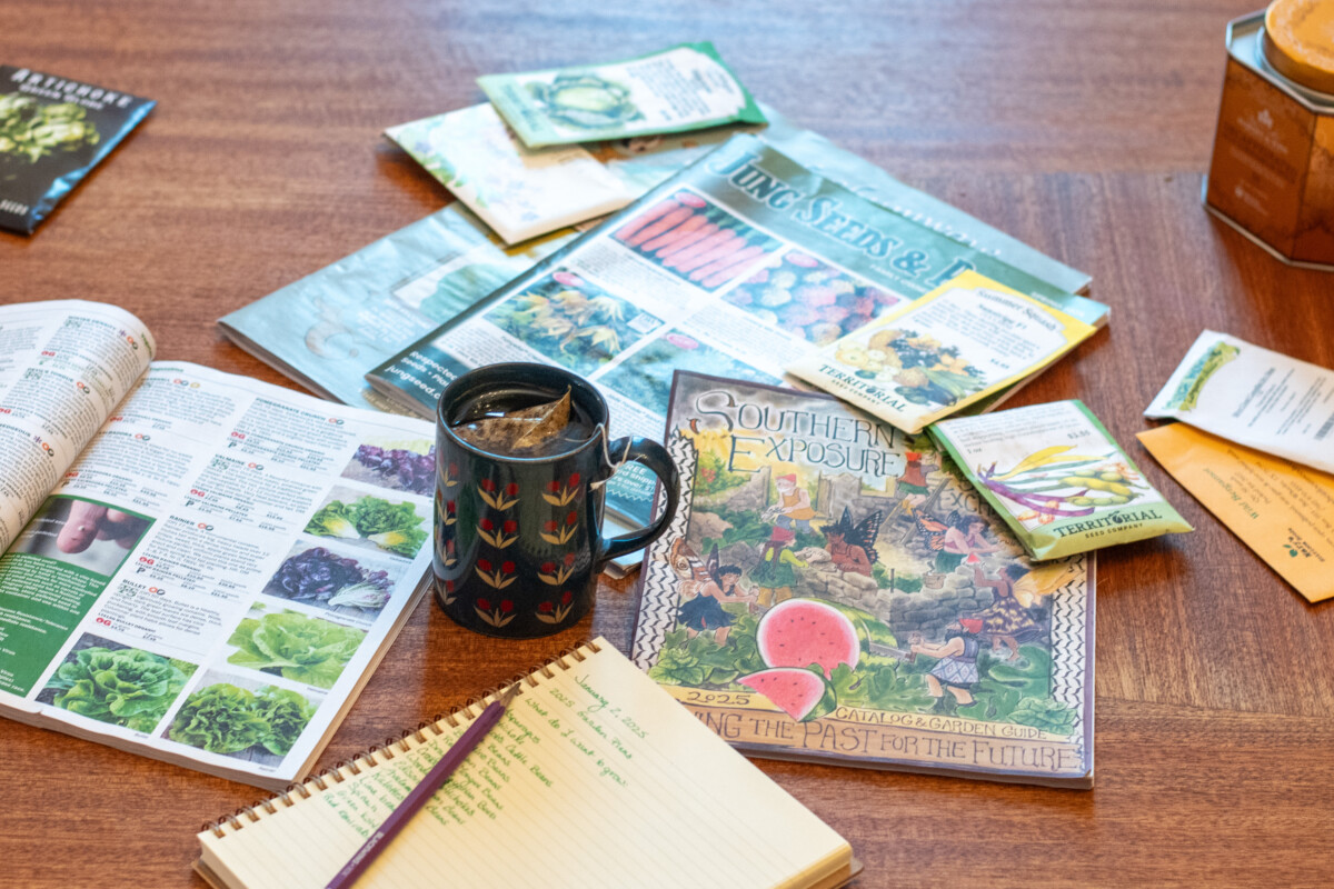 Cup of tea and seed catalogs on a table