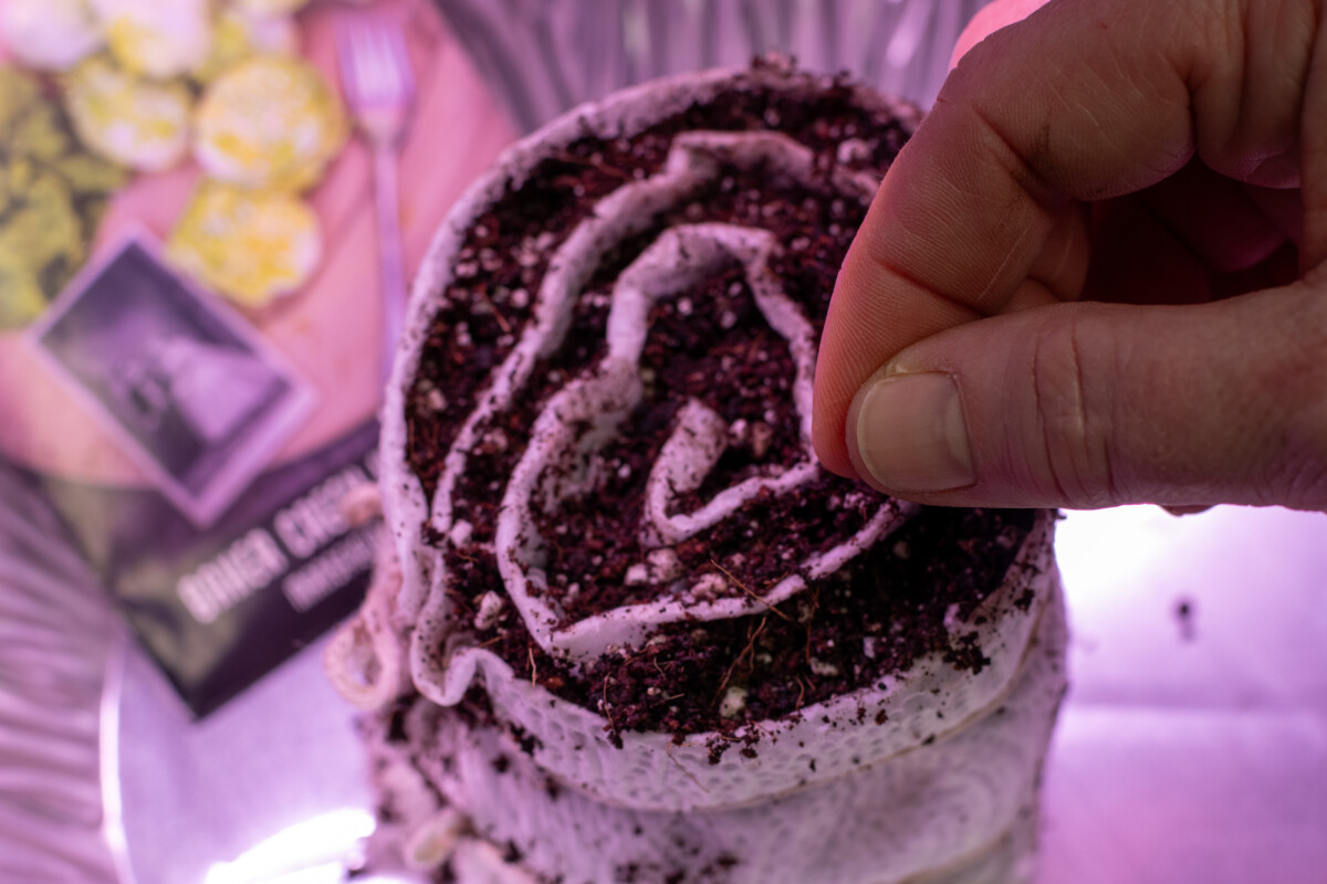 Woman's fingers putting seeds on seed snail roll