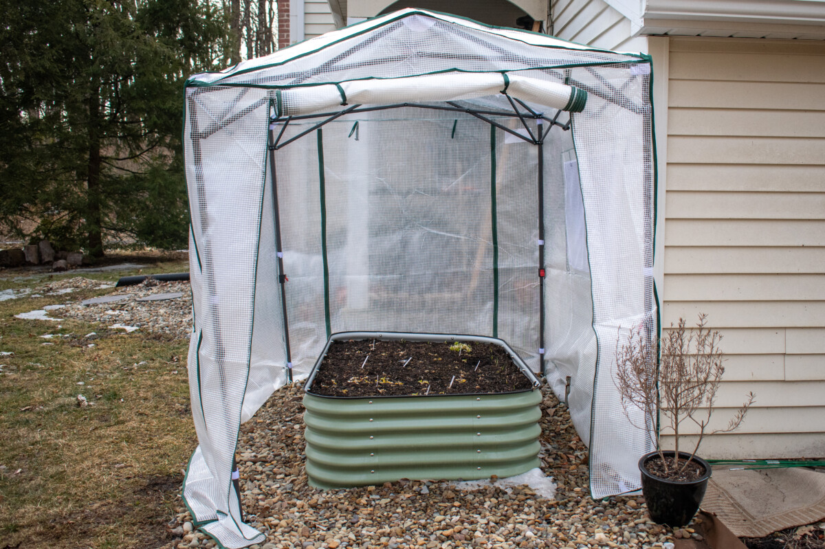 Pop-up greenhouse