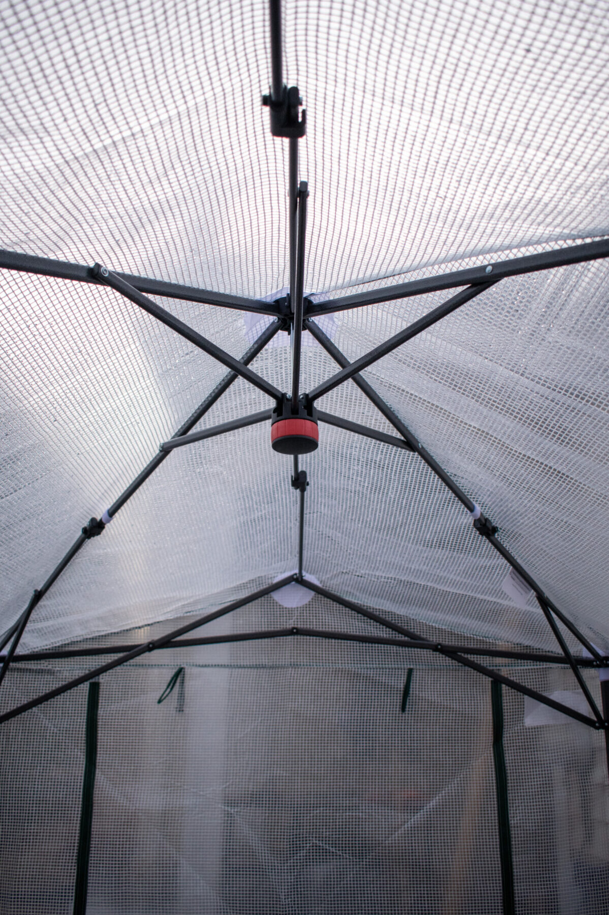 Inside frame of pop-up greenhouse