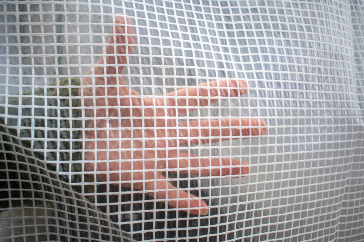 woman's hand behind greenhouse cover