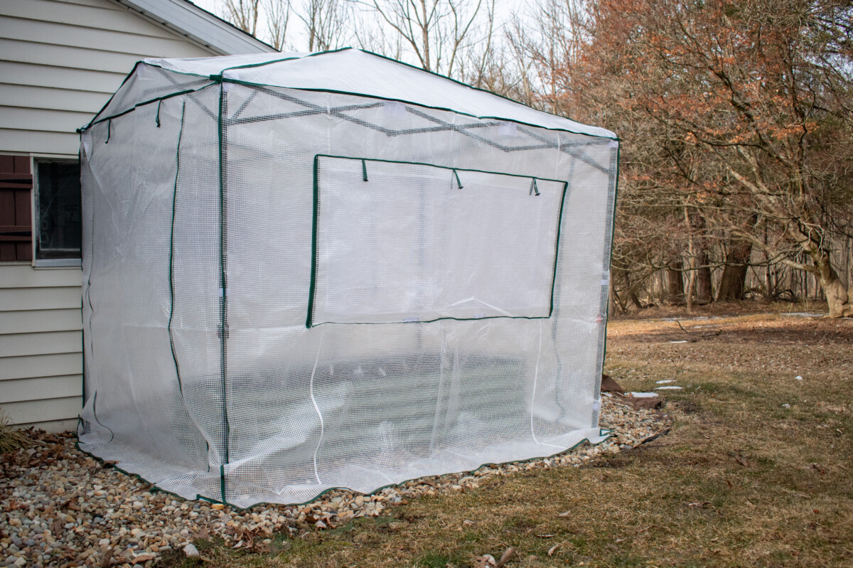 pop-up greenhouse