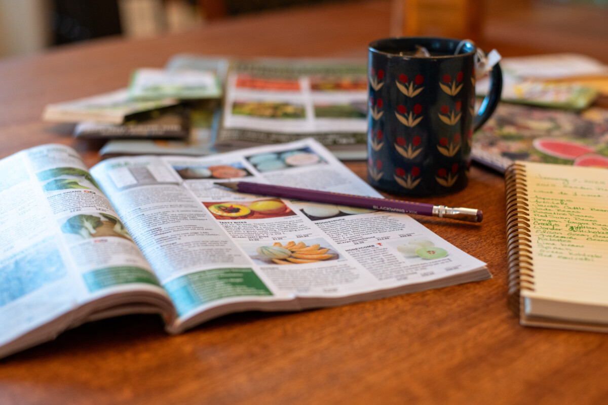 Seed catalogs and a mug on the table