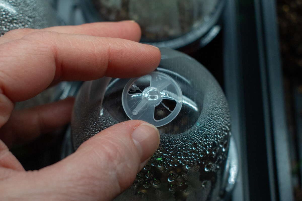 Woman's hand opening a vent on a humidity dome