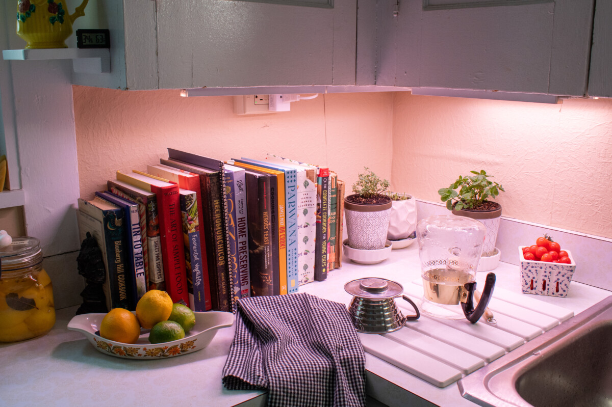 Kitchen counter with books and dishes drying on a drying rack, plants in the back.